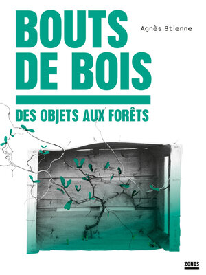 cover image of Bouts de bois